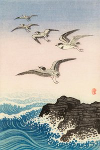 Five Seagulls Above a Rock in the Sea, 20. århundrede (japansk tryk) af Ohara Koson