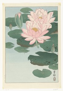 Blomstrende åkande af Ohara Koson