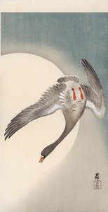 Flyvende blisgås set nedefra foran månen (farvet træbloktryk) af Ohara Koson