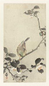 Bunting på blomstrende gren af Ohara Koson