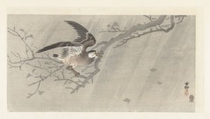 Grå stær i storm af Ohara Koson
