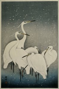 Gruppe af egrets af Ohara Koson