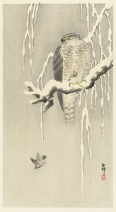Høg med fanget græsspurv. af Ohara Koson