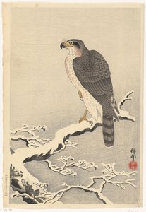 Høg på snedækket gren af ​​fyrretræ af Ohara Koson