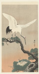 Japansk kran på gren af ​​fyrretræ af Ohara Koson