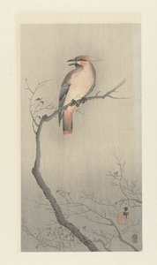 Japansk voksvinge på gren af Ohara Koson