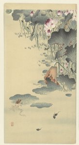 Frø og haletudser af Ohara Koson