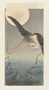 Blisgås ved fuldmåne af Ohara Koson