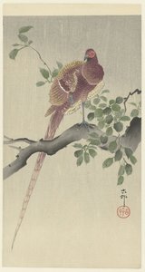 coperfazant af Ohara Koson