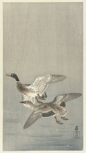 Par ænder af Ohara Koson