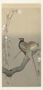 Et par fasaner og kirsebærblomst af Ohara Koson