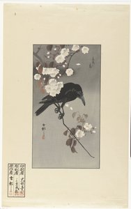 Krage og kirsebærblomst Hana sakura no tori (titel på objekt) af Ohara Koson