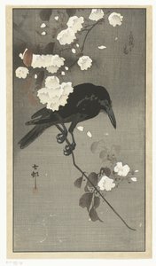 Krage med kirsebærblomst Hana sakura no tori (titel på objekt) af Ohara Koson