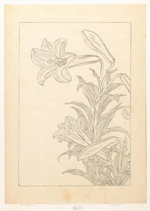 Lelies af Ohara Koson