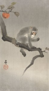 Abe i et frugttræ, 1900-30 (farvetræsnit)