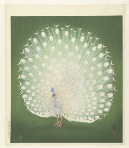 Påfugl af Ohara Koson
