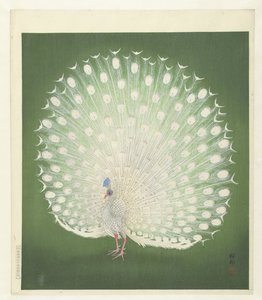 Påfugl af Ohara Koson