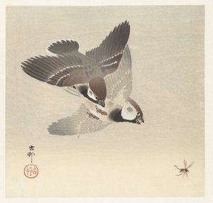 Ringspurve og insekt af Ohara Koson