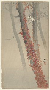 rød vedbend af Ohara Koson