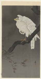 Lumikotka oksalla af Ohara Koson