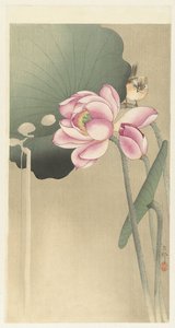 Sangfugl og Lotus af Ohara Koson