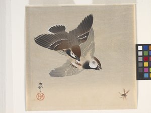 Sparrows Chasing Flying Insect (farvet træbloktryk) af Ohara Koson
