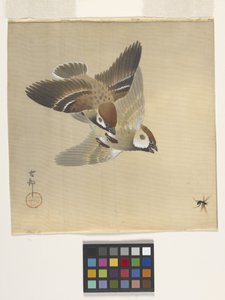 Spurve jager flyvende insekter (blæk og farve på silke) af Ohara Koson