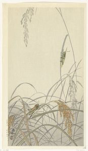 Græshopper på risplanter af Ohara Koson