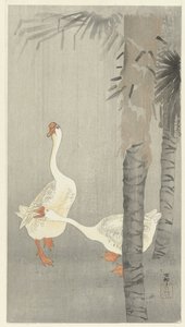 Tamme over det hele i regnvejr af Ohara Koson