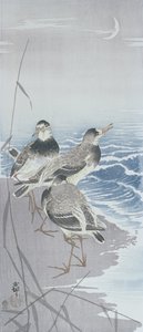 Tre sandpiper ved vandet foran siv (farvet træbloktryk) af Ohara Koson