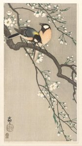 Bryster på Cherry Branch af Ohara Koson