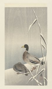 To ænder på snedækket siv over af Ohara Koson