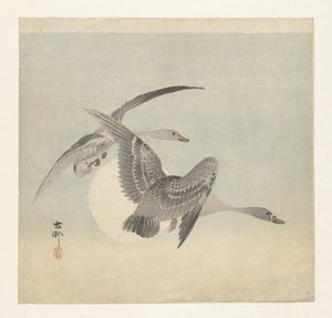 To blisgæs på flugt af Ohara Koson