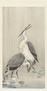 To hejrer i regnen af Ohara Koson