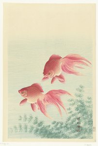 Guldfisk med to slørhale af Ohara Koson