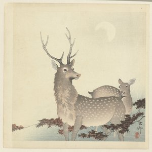 To hjorte af Ohara Koson