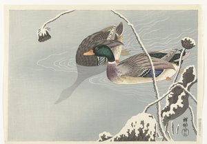 To gråænder nær en snedækket lotus af Ohara Koson
