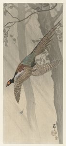 flyvende fasan af Ohara Koson