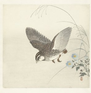 flyvende vagtler af Ohara Koson