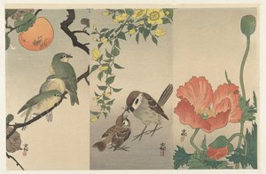 Fugle og planter af Ohara Koson