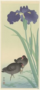 Morhøns og iris. af Ohara Koson