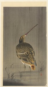 Snipe i regnen af Ohara Koson