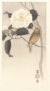 Sangfugl og blomstrende kamelia af Ohara Koson