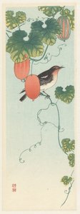Sangfugl i agurkeplante af Ohara Koson