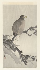 Skaldet ørn på gren af Ohara Koson