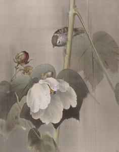 Bomuld Rose Mallows in the Rain, ca. 1891-92. af Okada Baison