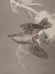 Høg holder en lille fugl, ca. 1891-92. af Okada Baison