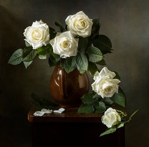 Elegante hvide roser af Olga Aleksandrovna
