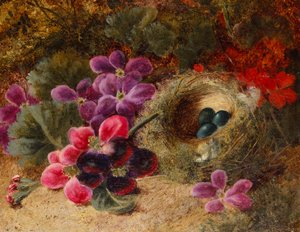 En Fuglerede og Pelargonier af Oliver Clare