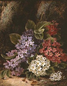 Stilleben med blomst af Oliver Clare